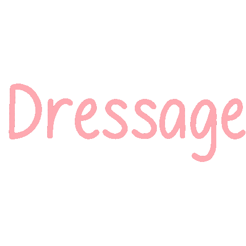 Horse Dressage Sticker