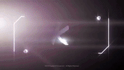 GIF by DoWeBelong