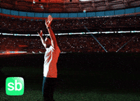 Football Soccer GIF by Sporbulteni