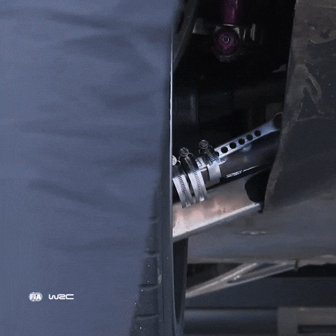 Sport Wheel GIF by FIA World Rally Championship