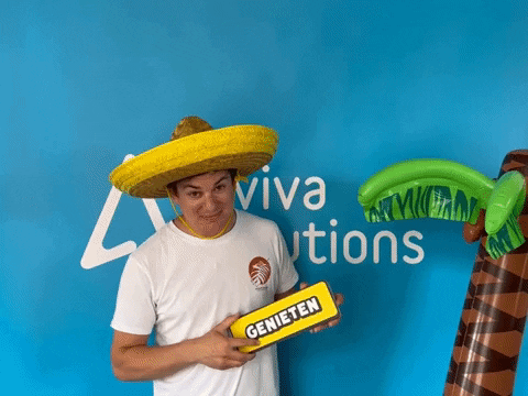 AvivaSolutions giphygifmaker party summer zomer GIF