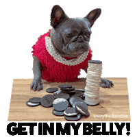 IzzyTheFrenchie hungry hangry oreo izzy the frenchie Sticker