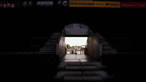germany football GIF
