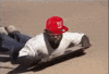 Thumbs Up GIF by BioSteel Sports