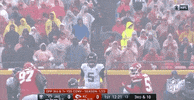 2018 Nfl Football GIF by NFL
