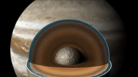tulsimo giphygifmaker GIF
