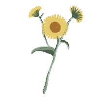 Flower Sticker by Bash Clothing