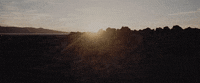 alessia cara stay GIF by Zedd