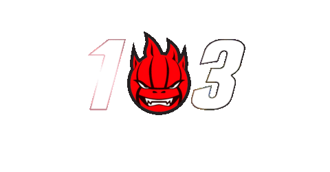 Livesir Sticker by SIR Volley