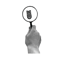 Sapientia Sticker by Gödri Csilla