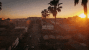 ZachBrandon vibes la california sunset GIF