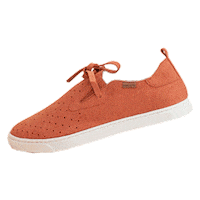 anacaprioficial tenis sapato colecao Sticker