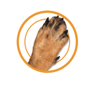 Melhor Amigo Sticker by Cofap