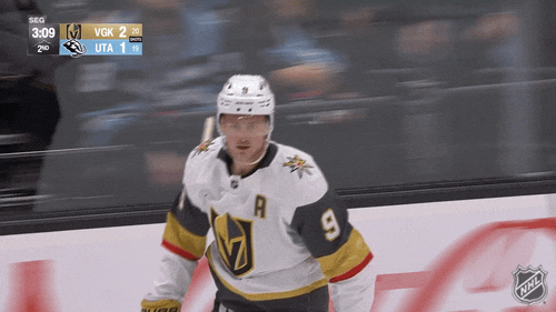 Happy American GIF by NHL
