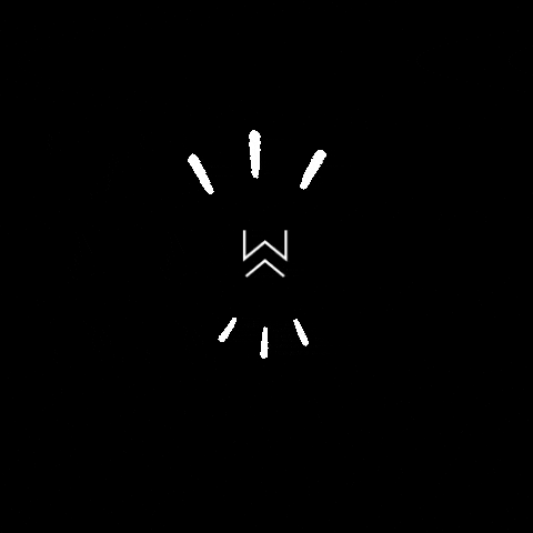 wodsid giphygifmaker giphyattribution wods wodsbracelet GIF