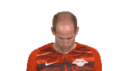 Happy Red Bulls Sticker by Bundesliga