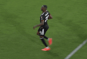 Celebrate Lets Go GIF by Major League Soccer