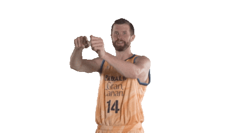 Liga Endesa Basketball Sticker by ACB