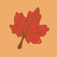 Falling Leaves Fall GIF