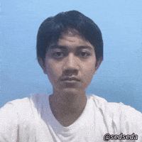 Sedseda GIF