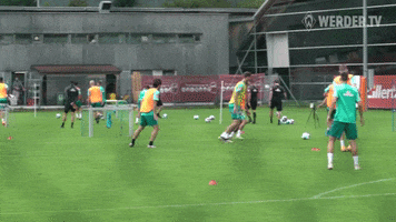 Football Soccer GIF by SV Werder Bremen