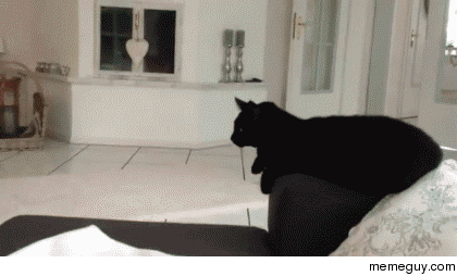 smooth GIF