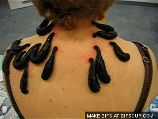 comment replies GIF