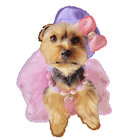 Happy In Love Sticker