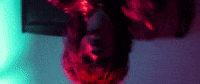 jetlag GIF by Matt Ox