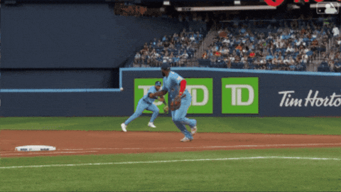 Blue Jays Baseball GIF by Toronto Blue Jays