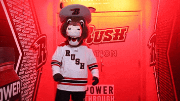 Who Knows Idk GIF by Rapid City Rush