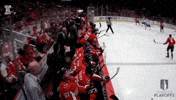 Happy Stanley Cup Playoffs GIF by NHL