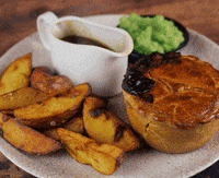 GIF by True North Brew Co