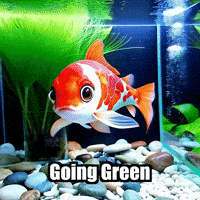 Going Green GIF by TheConfishius