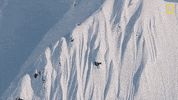 Nat Geo Sport GIF by National Geographic Channel