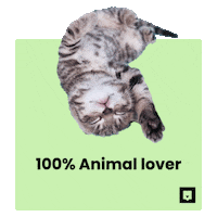 Sleepy Cat Sticker by Nubika Formacion