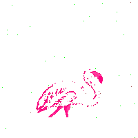 Flamingo Neo Sticker by Forallcrypto