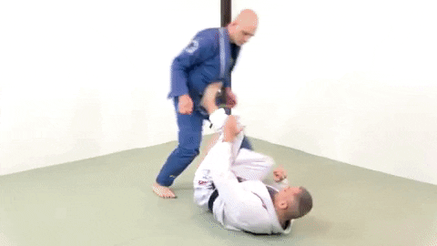 ritchieyip giphygifmaker bjj frames guard GIF