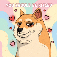 Valentines Day Love GIF by Doge Pound