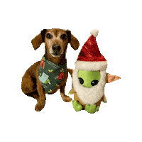 Christmas Santa Sticker by Geekster Pets