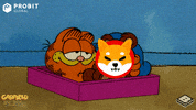 Shiba Inu Crypto GIF by ProBit Global