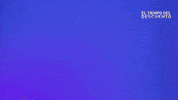 Pol GIF by Mediaset España