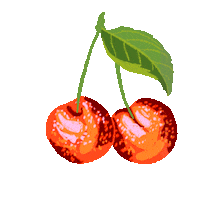 Drawing Fruit Sticker
