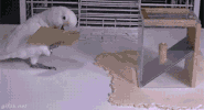 GIF by Demic