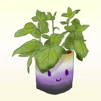 Plant Herb GIF by Contextual.Matters