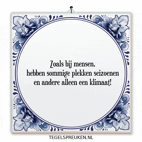 Humor Wijsheid GIF by Tegelspreuken.nl