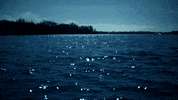 night lake GIF by Living Stills