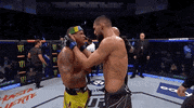 Sport Mma GIF by UFC