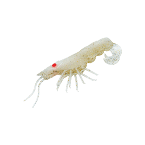 Curly Prawn Sticker by Chasebaits