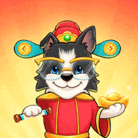 Happy Border Collie GIF by UpStudiosWorld